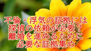 不倫・浮気の証拠には探偵の依頼が必要？離婚を進めるために必要な証拠集め