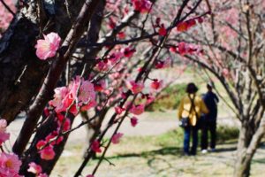 年老いた夫との夜の生活が苦痛です
